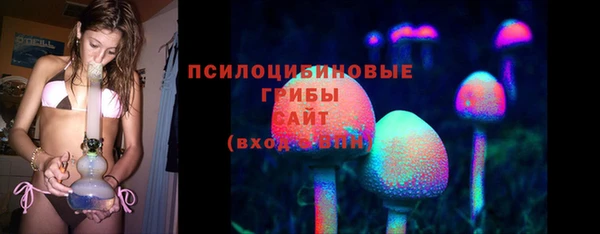 молекула духа Дмитровск