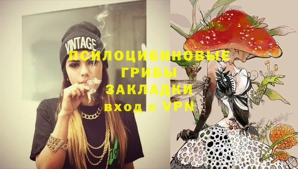 прущие крисы Дмитриев