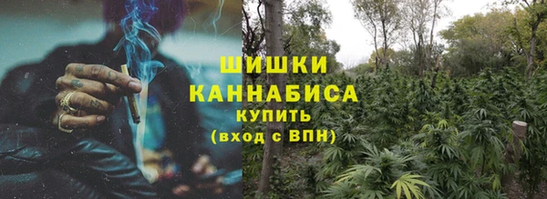 прущие крисы Дмитриев
