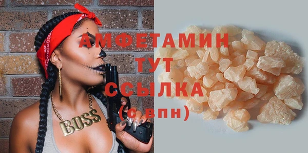 молекула духа Дмитровск
