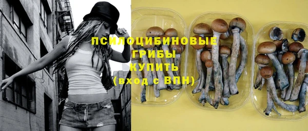 прущие крисы Дмитриев