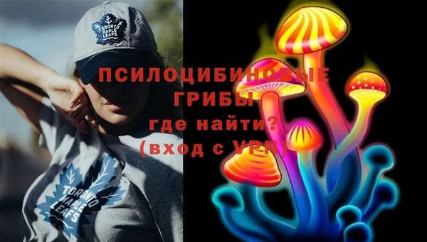 прущие крисы Дмитров