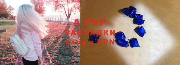 молекула духа Дмитровск